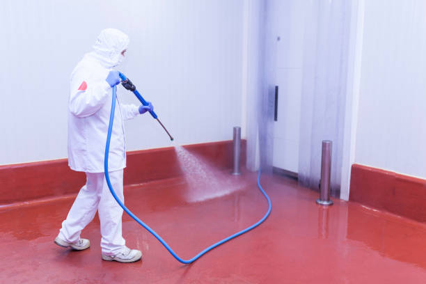 Best Pre-Holiday Cleaning  in Chester, PA